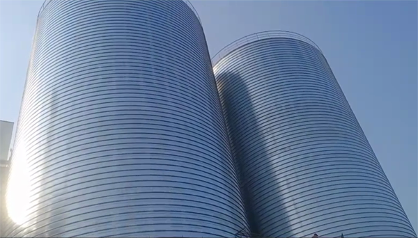 宁海2座混凝土高架卷板仓